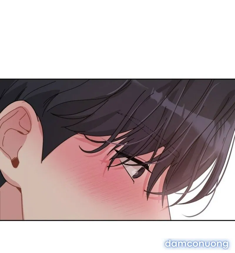 [18+] XX ARCHIVE 