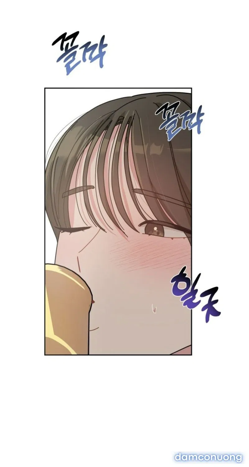 [18+] XX ARCHIVE 