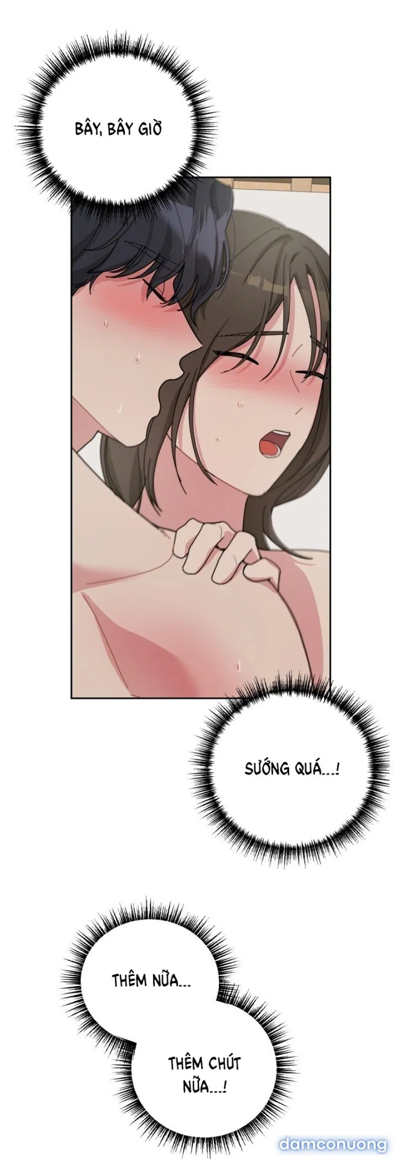 [18+] XX ARCHIVE 