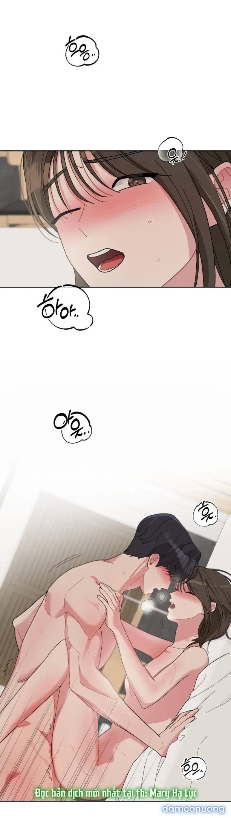 [18+] XX ARCHIVE 