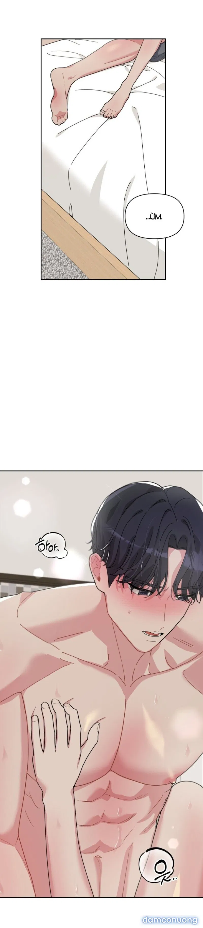 [18+] XX ARCHIVE 