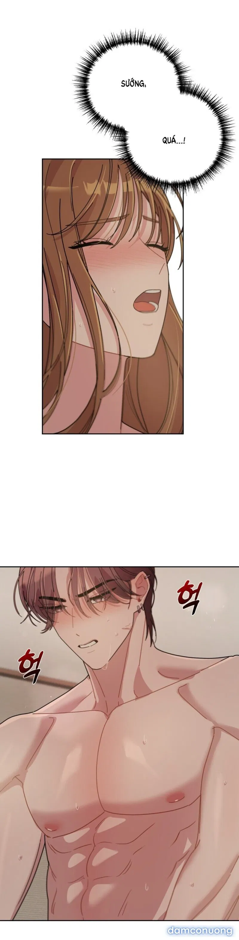 [18+] XX ARCHIVE 