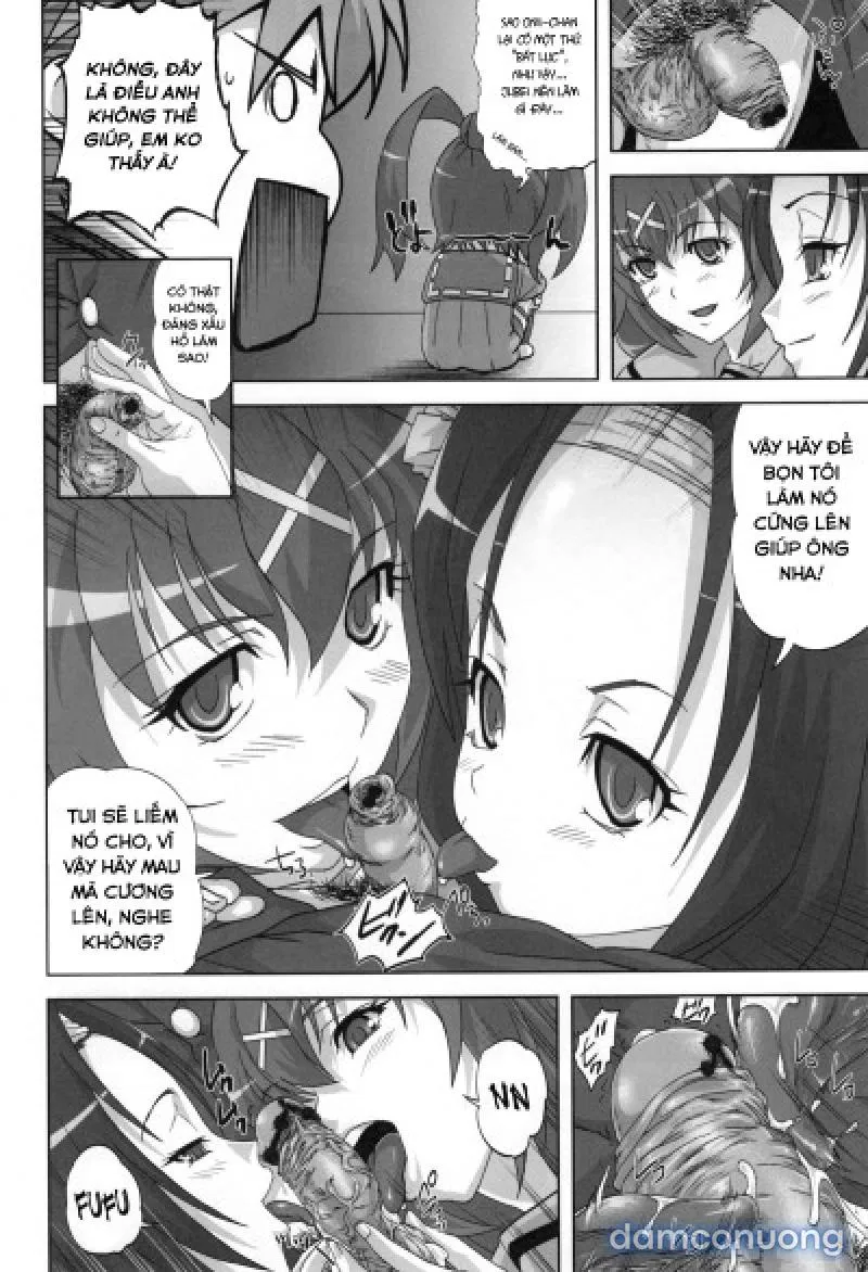 Hyakka Ryourankou 