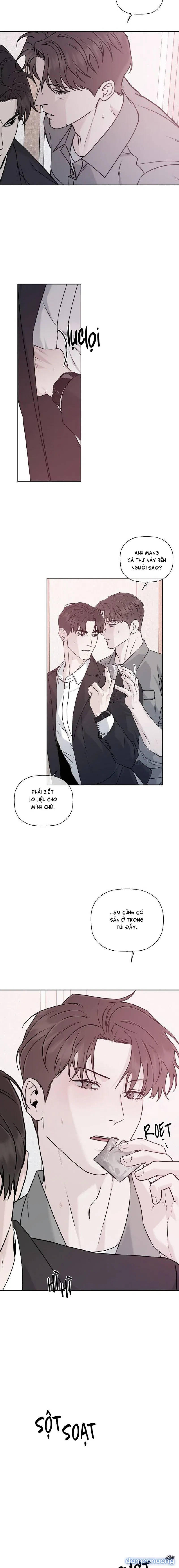 Người Lạ 