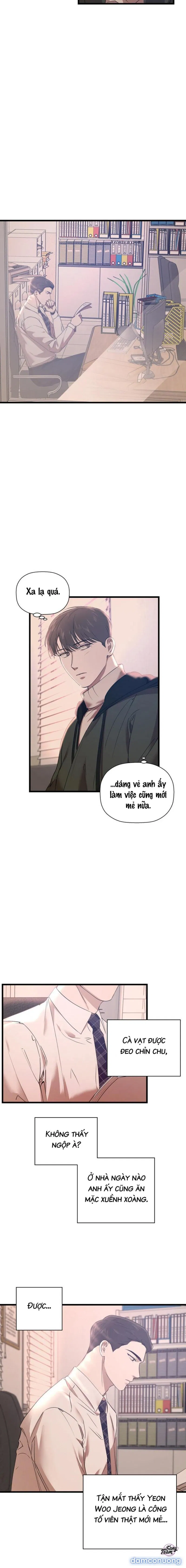 Người Lạ 