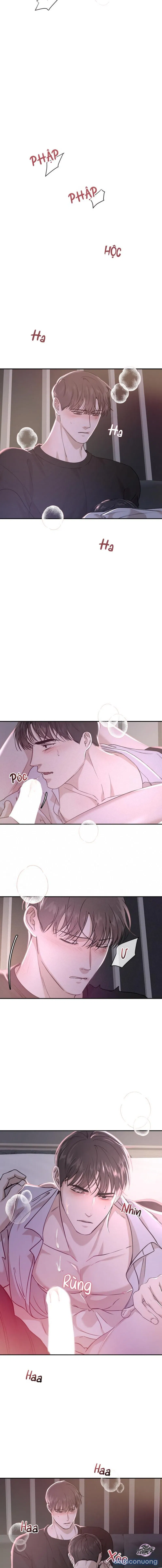 Người Lạ 