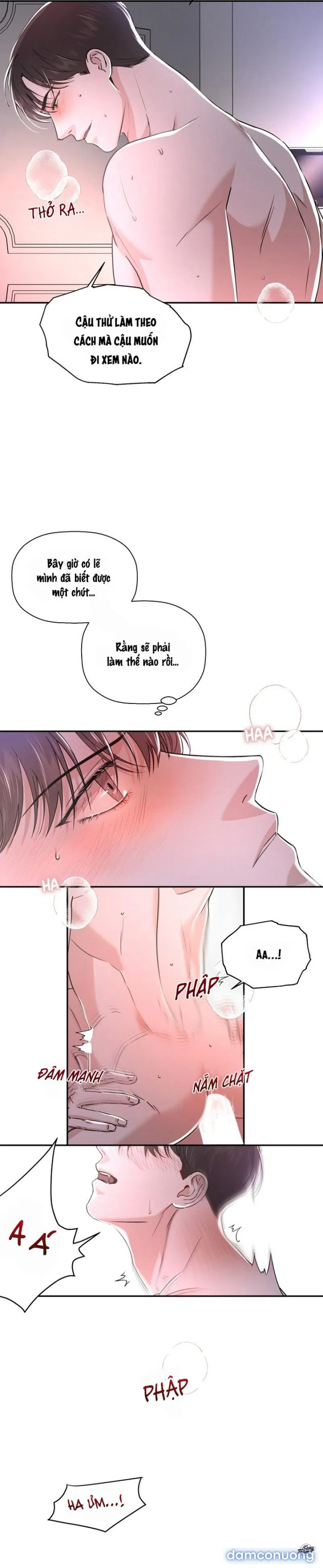 Người Lạ 