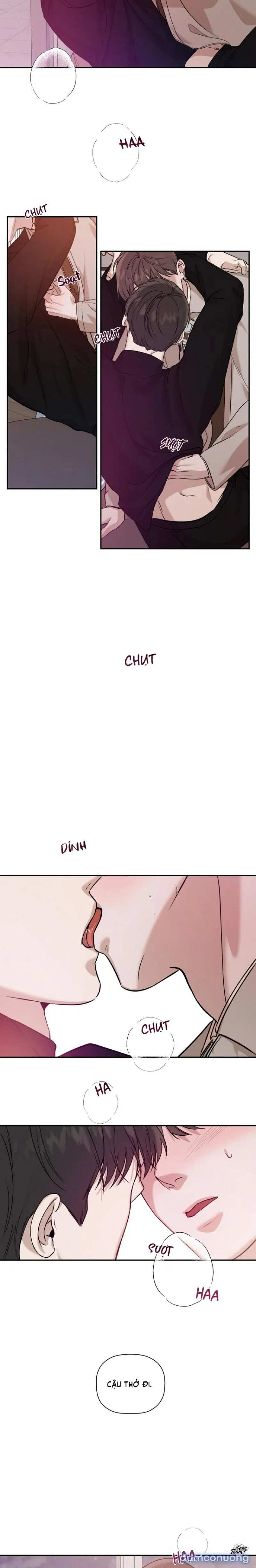 Người Lạ 