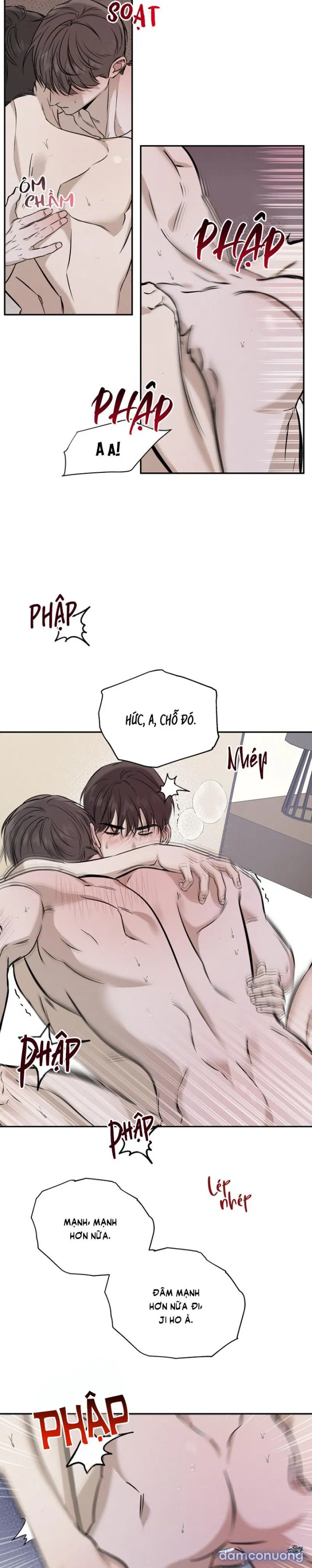 Người Lạ 