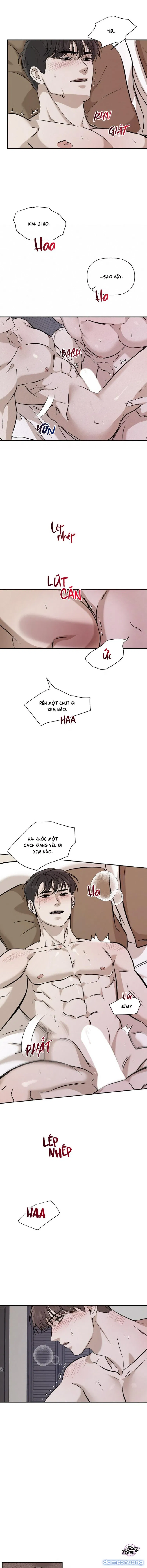 Người Lạ 