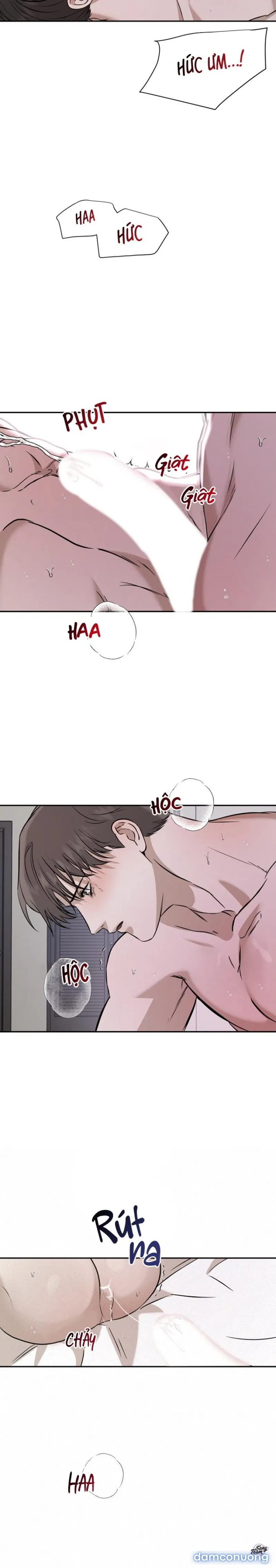 Người Lạ 