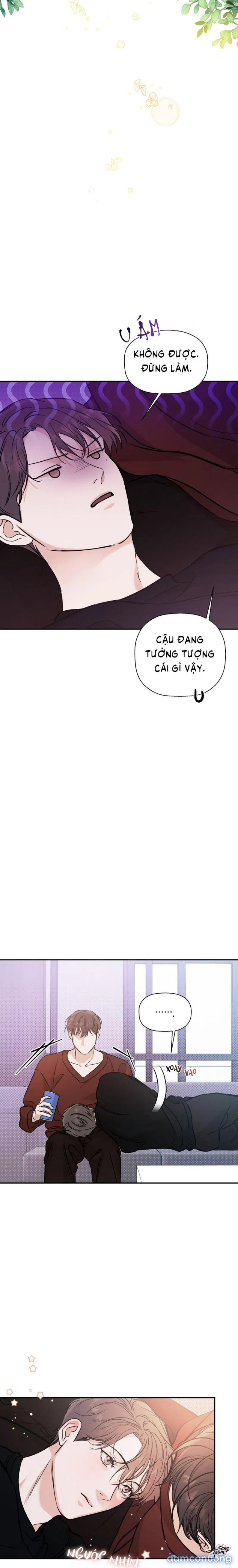 Người Lạ 