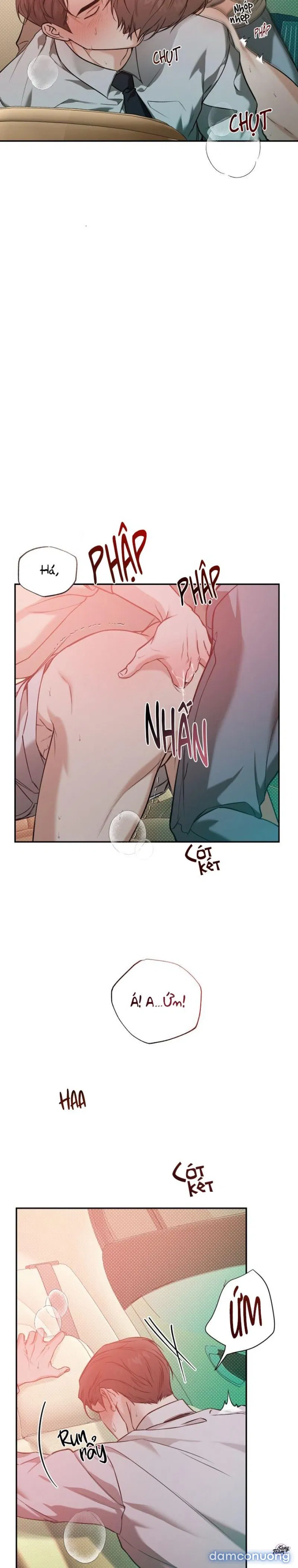 Người Lạ 