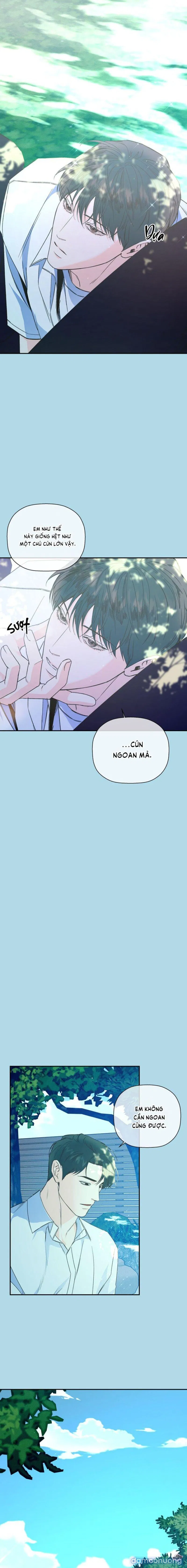 Người Lạ 
