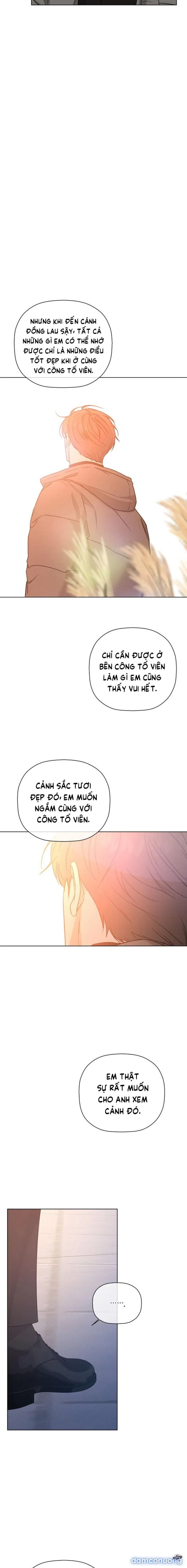 Người Lạ 