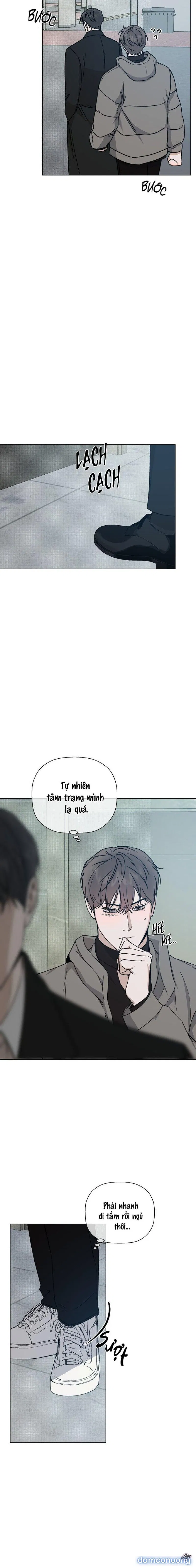 Người Lạ 