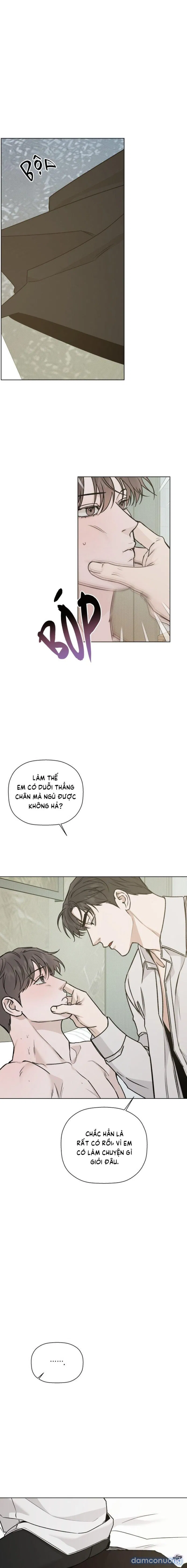 Người Lạ 