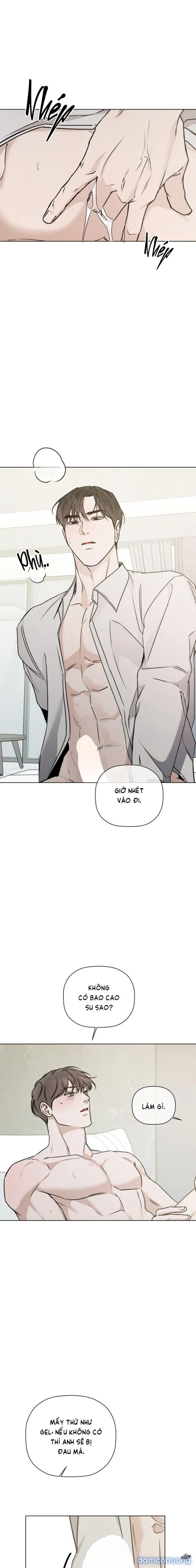 Người Lạ 