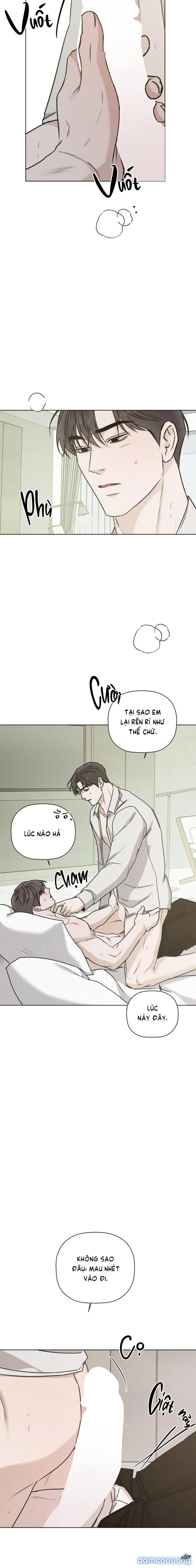 Người Lạ 