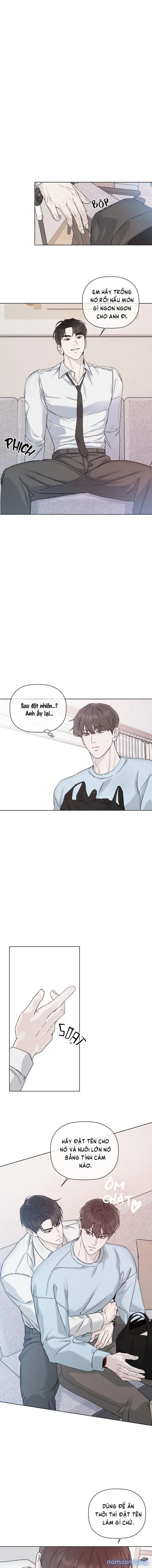 Người Lạ 