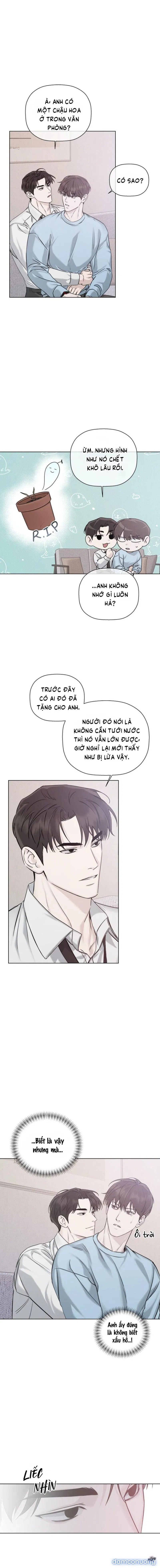 Người Lạ 