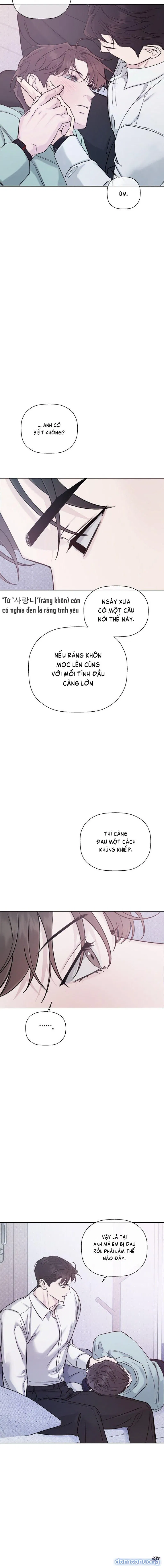 Người Lạ 