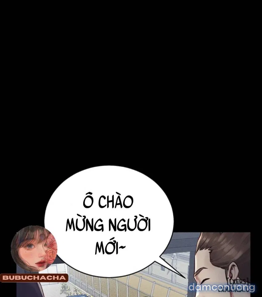 Bông hoa trong tù 
