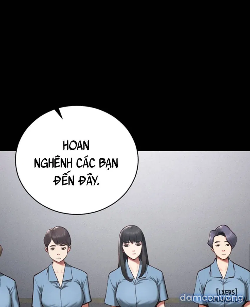 Bông hoa trong tù 