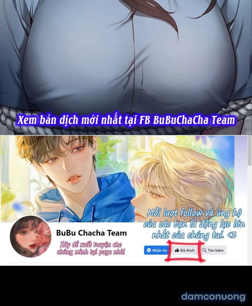 Bông hoa trong tù 