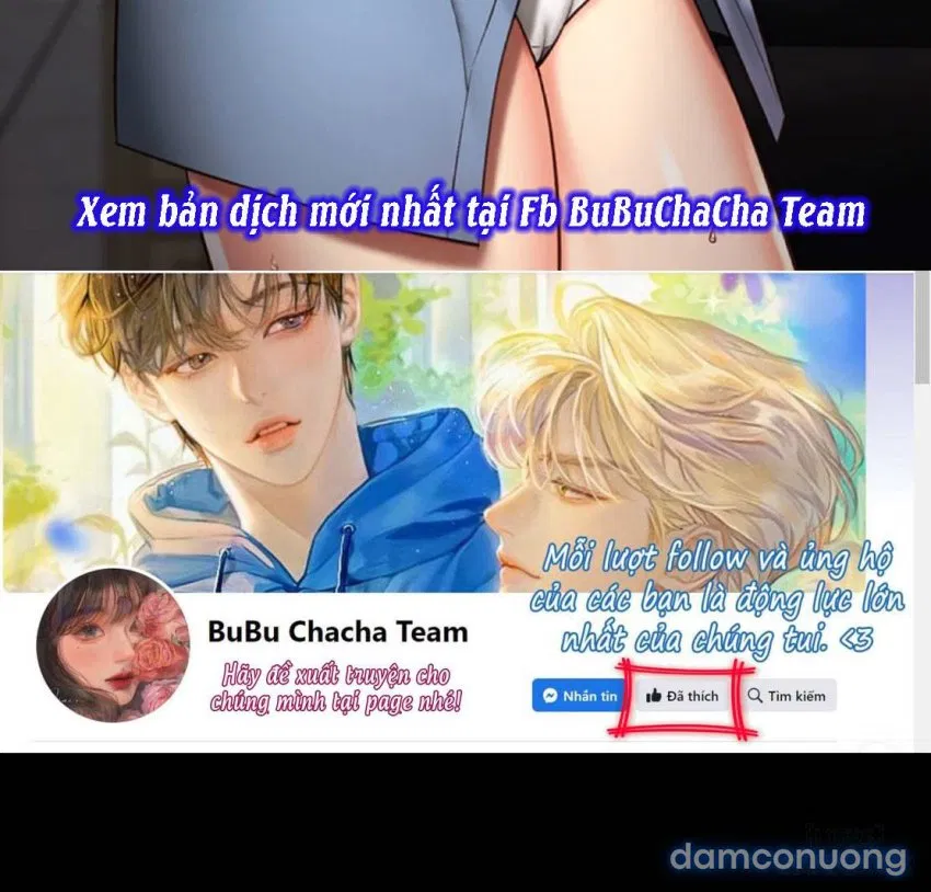 Bông hoa trong tù 