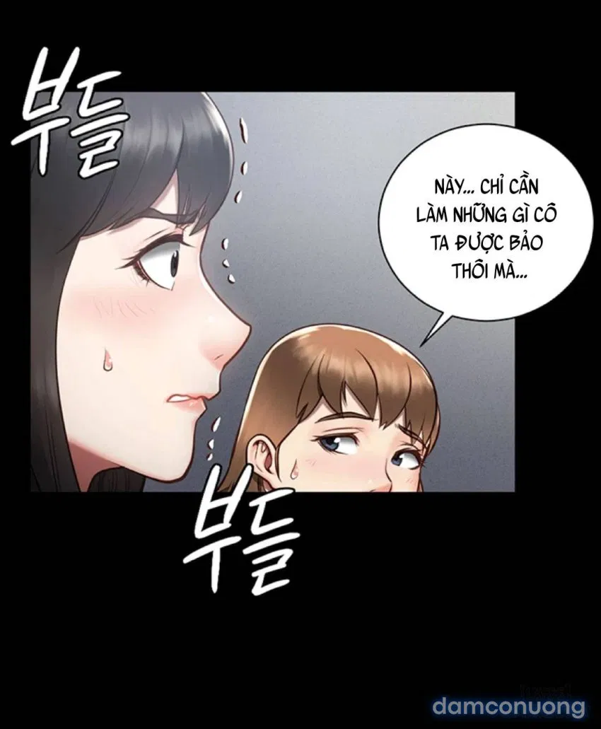 Bông hoa trong tù 
