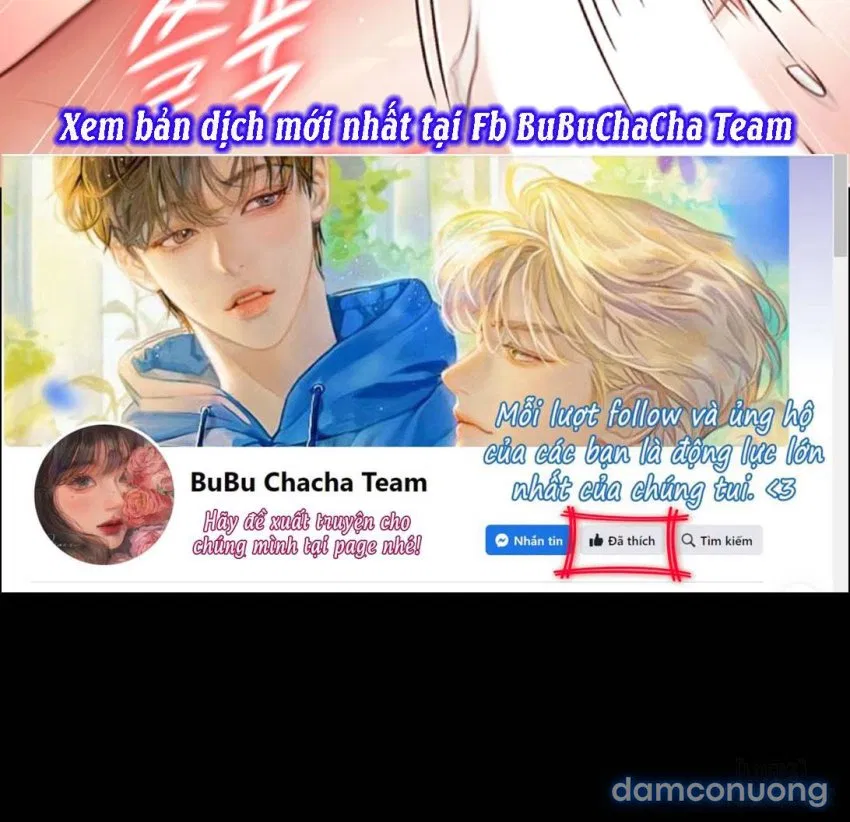 Bông hoa trong tù 