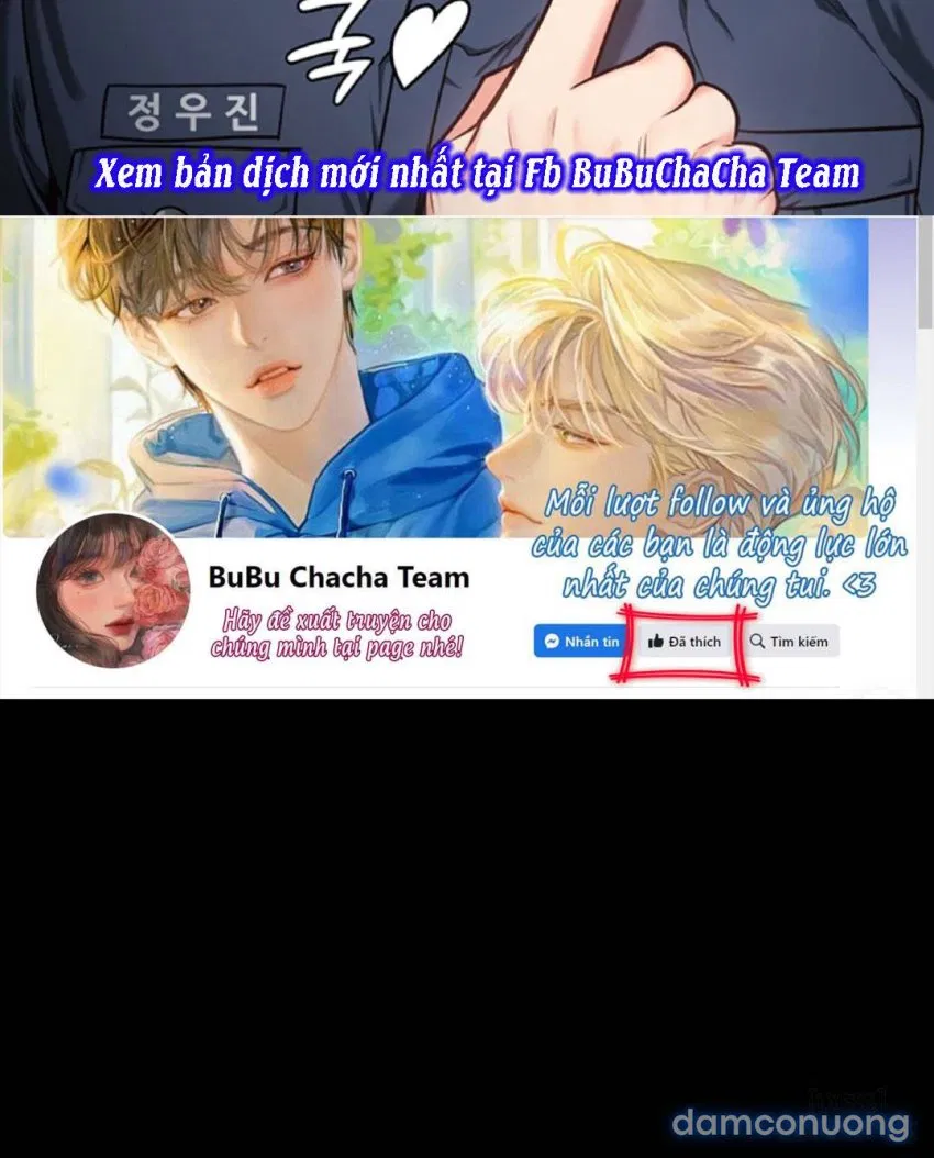 Bông hoa trong tù 