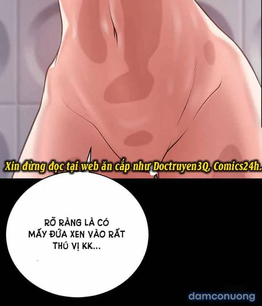 Bông hoa trong tù 