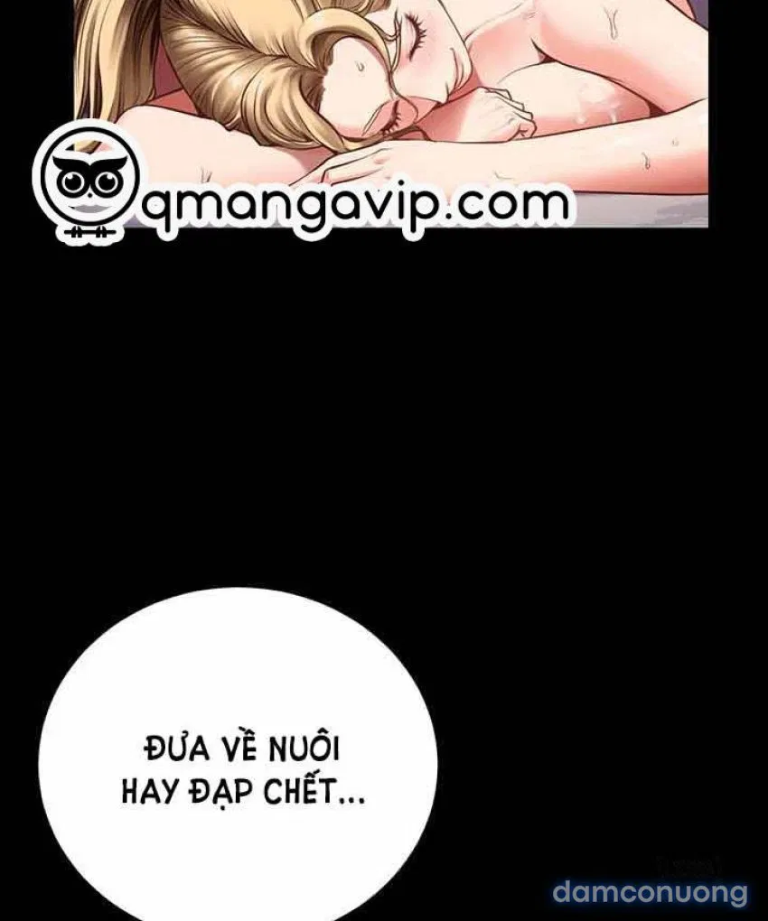 Bông hoa trong tù 