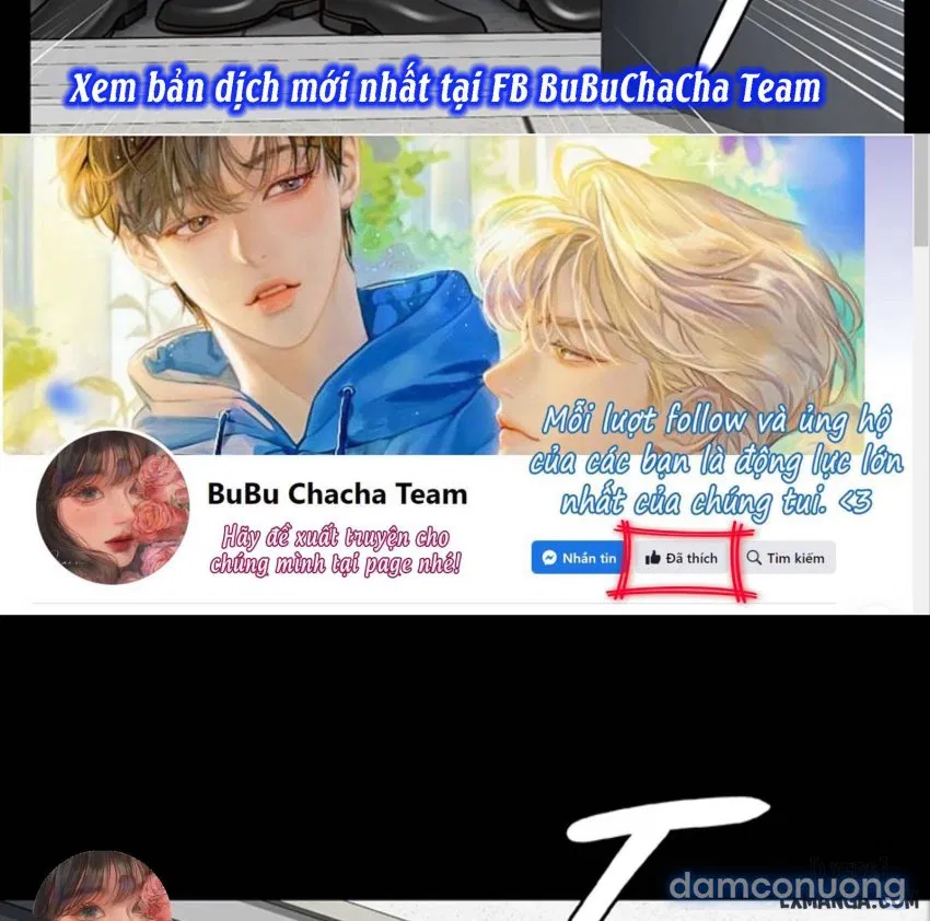 Bông hoa trong tù 
