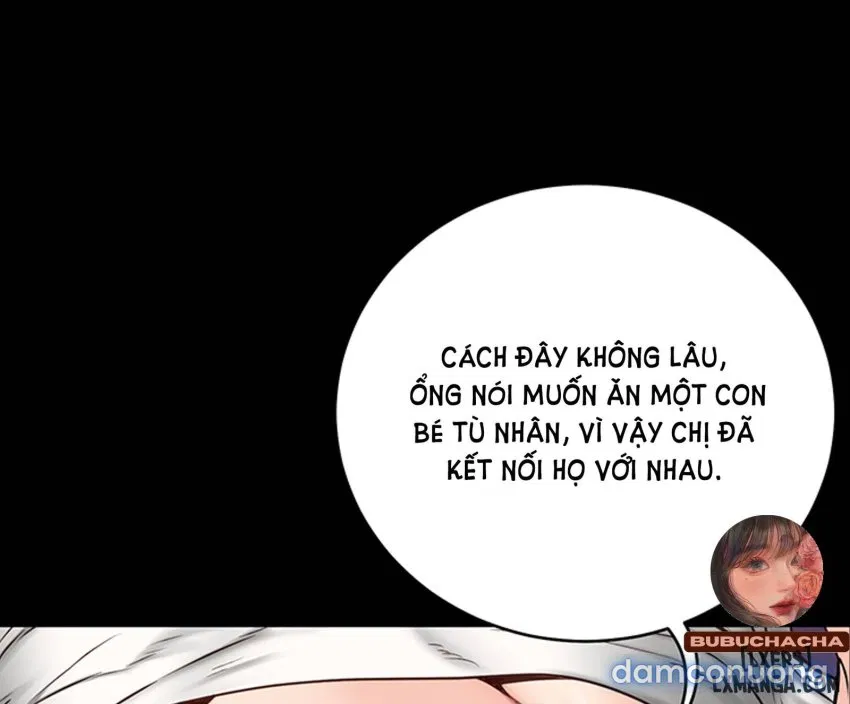 Bông hoa trong tù 