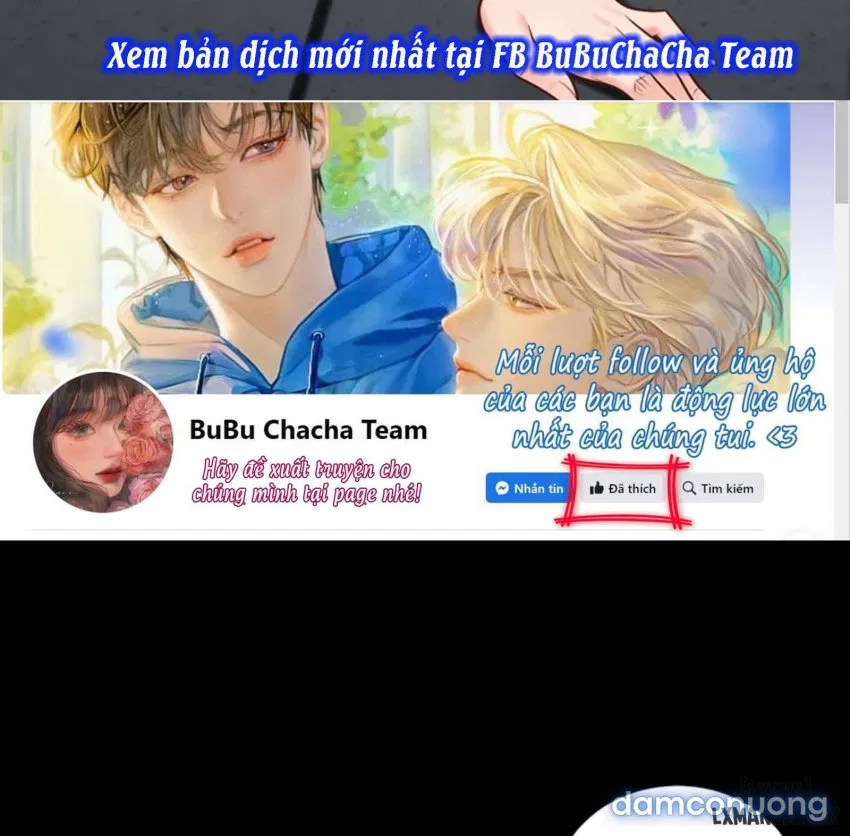 Bông hoa trong tù 