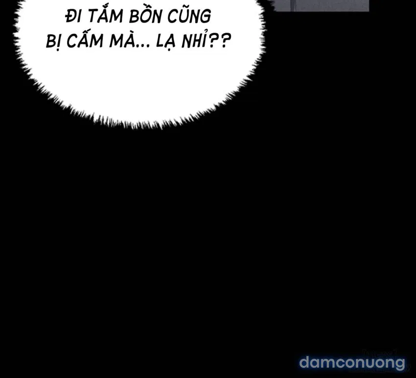 Bông hoa trong tù 
