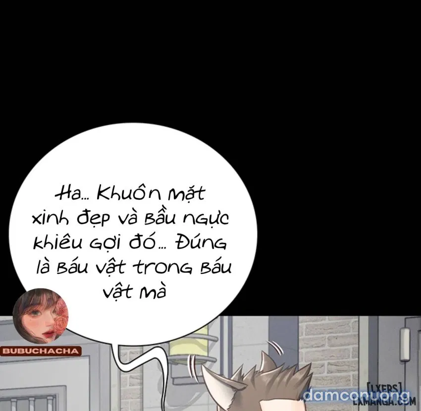 Bông hoa trong tù 