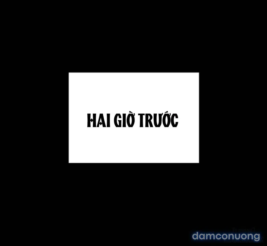 Bông hoa trong tù 
