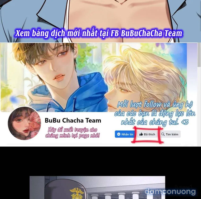 Bông hoa trong tù 