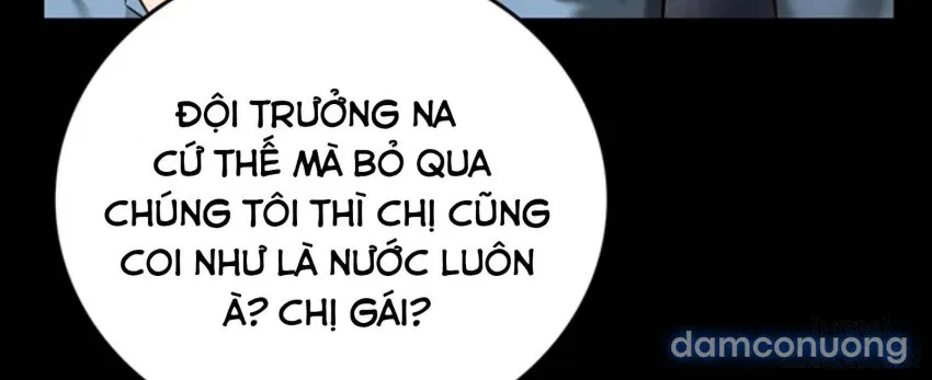 Bông hoa trong tù 