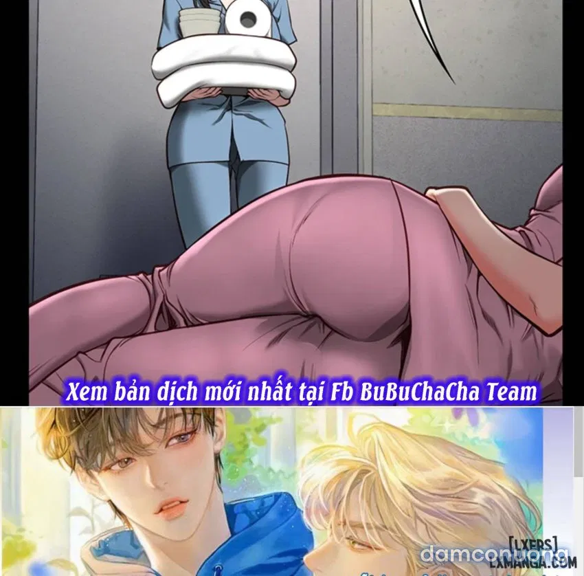 Bông hoa trong tù 