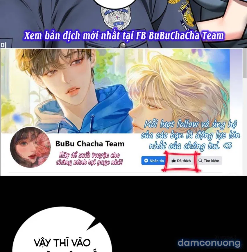 Bông hoa trong tù 