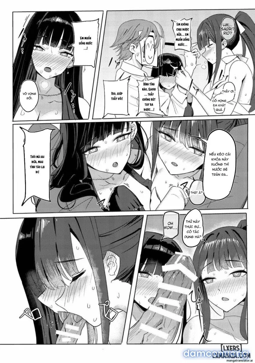SAORIO Cruise 