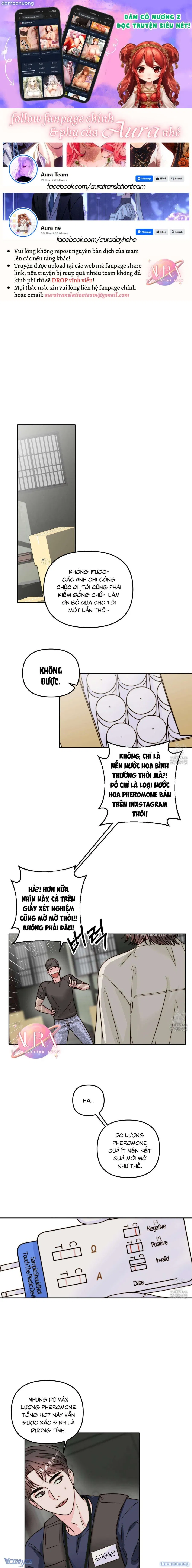 Tình Yêu Theo Mùa Dị Ứng Pheromone 