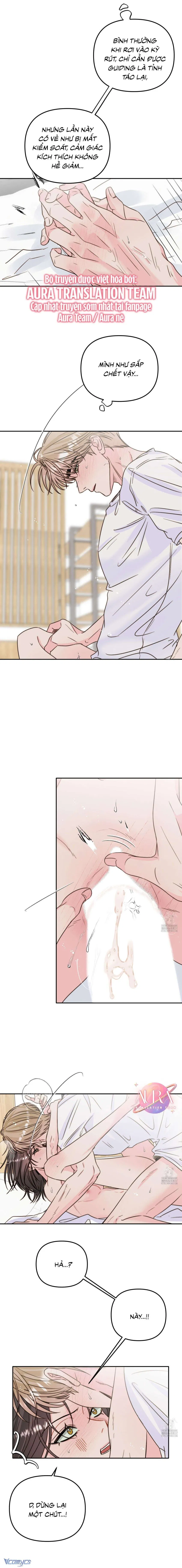 Tình Yêu Theo Mùa Dị Ứng Pheromone 
