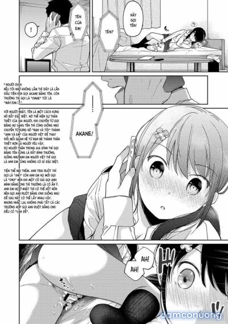 1LDK+JK Ikinari Doukyo? Mitchaku!? Hatsu Ecchi!!? 