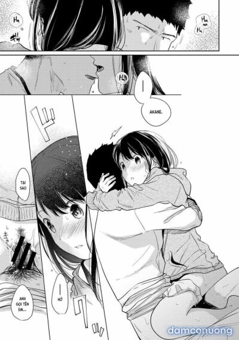 1LDK+JK Ikinari Doukyo? Mitchaku!? Hatsu Ecchi!!? 